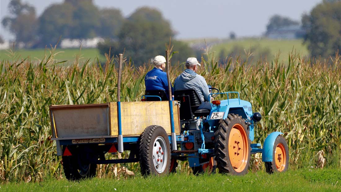 Transitioned Farmers